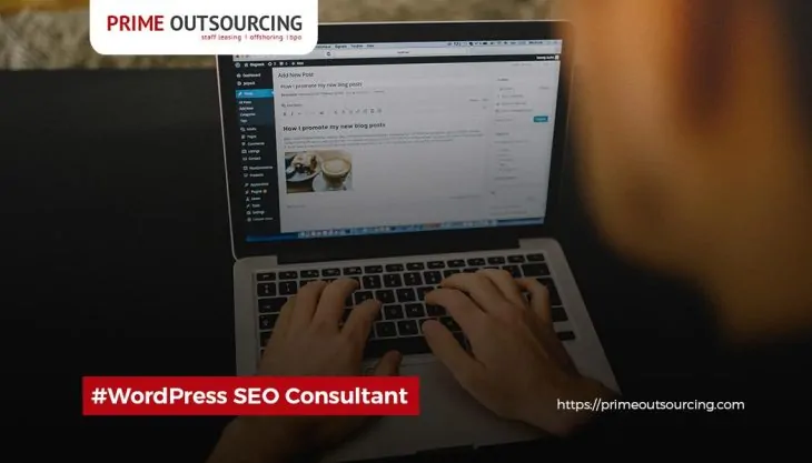 WORDPRESS SEO CONSULTANT