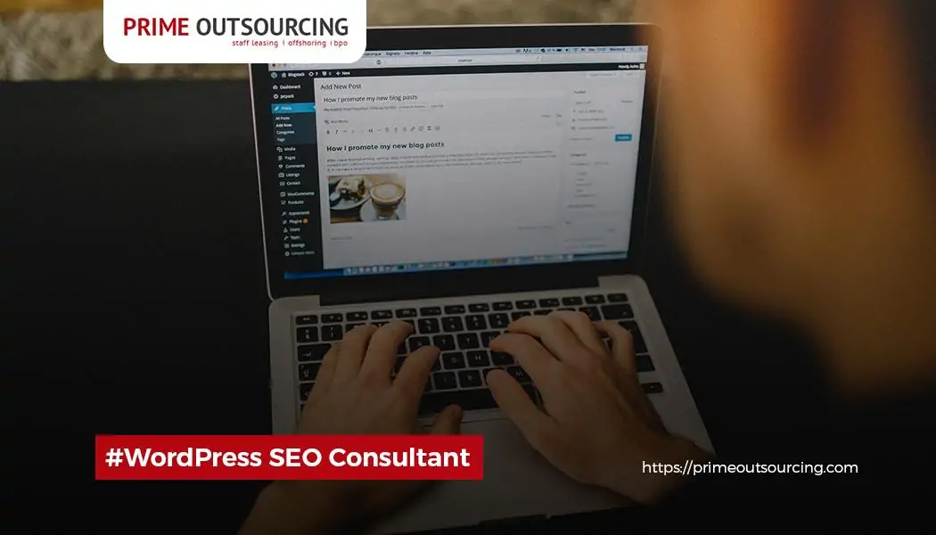 WORDPRESS SEO CONSULTANT