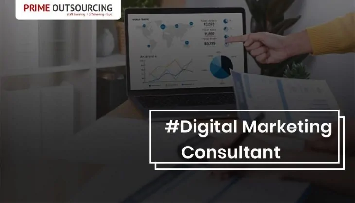 Digital Marketing Consultant